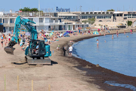 Vid&eacute;o | Pourquoi Marseille cr&eacute;e des &laquo; mille-feuilles &raquo; de posidonie sur la plage de la Pointe-Rouge ? | Regards crois&eacute;s sur la transition &eacute;cologique | Scoop.it