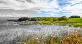 Un fonds NAture pour pr&eacute;server le patrimoine naturel | Nouvelle-Aquitaine | Scoop.it