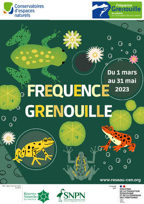 Fréquence grenouille : du 1er mars au 31 mai 2023 - Zones Humides | Biodiversité | Scoop.it