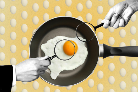 EGGS: Maybe there was cartel after all&nbsp; | ALIMENTATIONS | Scoop.it