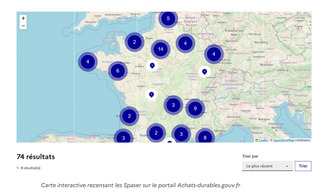 SPASER : &eacute;tat des lieux | Commande publique | Scoop.it
