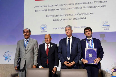 Halieutique: Signature d’un protocole de coopération entre le MAROC et la Mauritanie | CIHEAM Press Review | Scoop.it