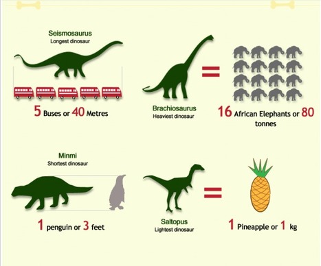All about Dinosaurs | Visual.ly | Eclectic Technology | Scoop.it