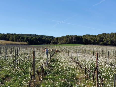 FRANCE : Et si les agriculteurs &eacute;taient pay&eacute;s pour prot&eacute;ger l&rsquo;environnement ? | CIHEAM Press Review | Scoop.it