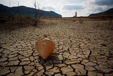 Government declares a state of emergency as region faces the 'worst drought in modern history' — here's what you need to know - The Cool Down | Agents of Behemoth | Scoop.it