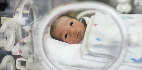 Premature babies are given sucrose for pain relief – but new research shows it doesn’t stop long-term impacts on development | Hospitals and Healthcare | Scoop.it