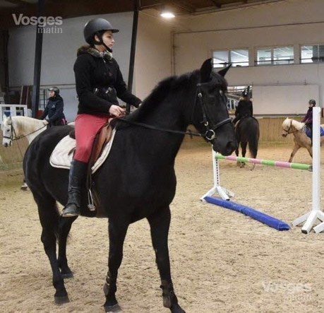 Epinal-Chantraine : les chevaux aiment Bob Marley ! | Cheval et sport | Scoop.it