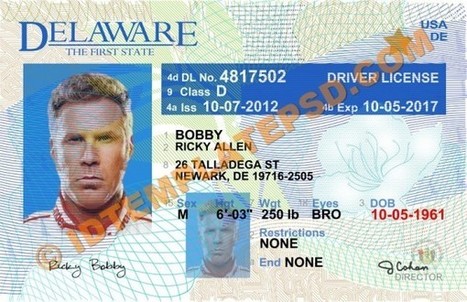 Drivers License Templates Photoshop