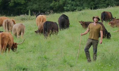 « Le loup, on est toujours pour quand ce n'est pas chez soi! » | Loup | Scoop.it