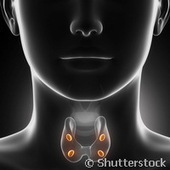 Une étude définit les facteurs génétiques à l'origine du cancer de la thyroïde induit par le rayonnement | Toxique, soyons vigilant ! | Scoop.it