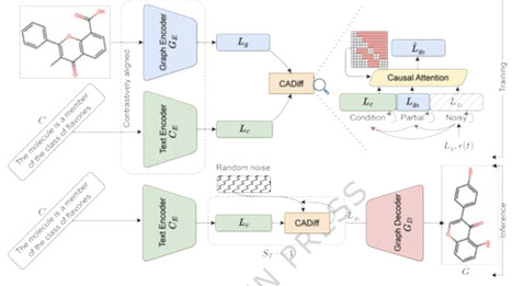 Mol-CADiff: text-conditional molecule generation via causality-aware autoregressive diffusion | Ncm | RMH | Scoop.it