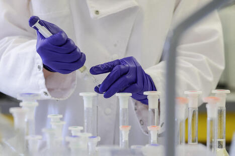 &Eacute;tats g&eacute;n&eacute;raux de la bio&eacute;thique : ce qu'on dit les Fran&ccedil;ais | Bio&eacute;thique & Procr&eacute;ation | Scoop.it