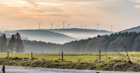 &Eacute;olien&nbsp;: un commissaire enqu&ecirc;teur fait usage de la proc&eacute;dure de lanceur d'alerte | Transition &eacute;nerg&eacute;tique et &eacute;cologique. Mobilit&eacute; et transports | Scoop.it
