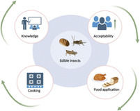The gastronomic art of edible insects: cooking methods and food innovation [Sustainable Food Technology] | IPCI : Ingénierie de Produits à l'interface Cuisine-Industrie | Scoop.it