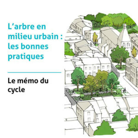 L'arbre en milieu urbain : les bonnes pratiques, le mémo | ESPACES VEGETALISES URBAINS | Scoop.it