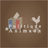 Hollande ne compte pas changer le statut des animaux (promesse non tenue) | ACTUALIT&Eacute; | Scoop.it