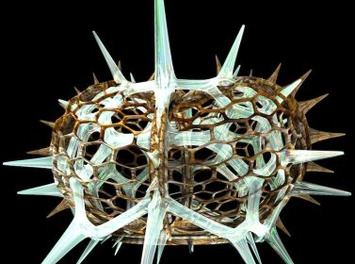 Quand le plancton devient objet d&rsquo;art | D&eacute;couvrir, se former et faire | Scoop.it