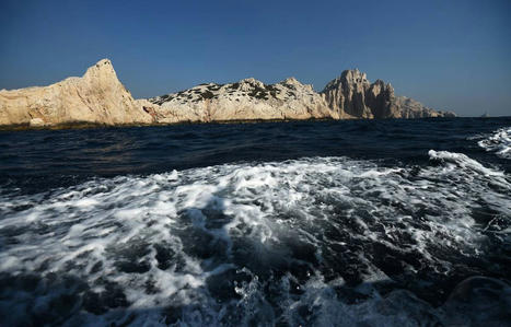 Marseille : Amendes requises contre les braconniers des calanques | Biodiversité | Scoop.it