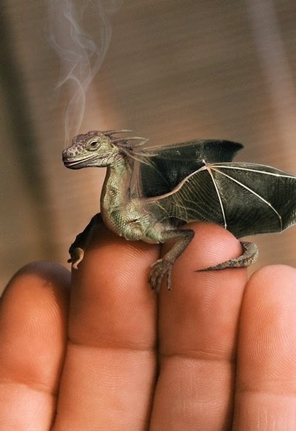 Draco – the dragon | Ciencia-Física | Scoop.it