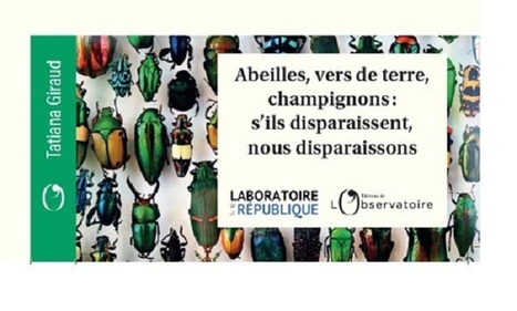Tatiana Giraud et Marie Ameller : L'attention au vivant  | Les Colocs du jardin | Scoop.it