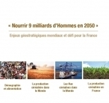 Des chiffres et des céréales : édition 2012-2013 | Graines de doc | Scoop.it