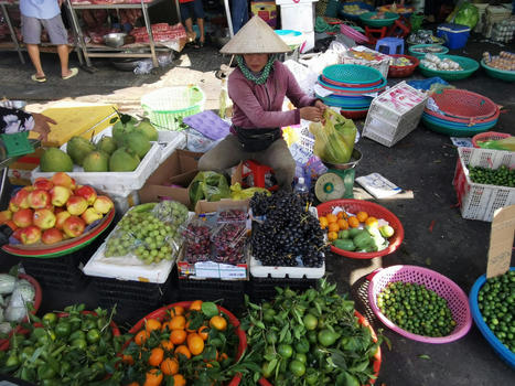 VIETNAM: In Search of Greener Pastures for Sustainable Growth in Vietnam | SRI Global News ++ March - May 2025    System of Rice Intensification (SRI) | Scoop.it
