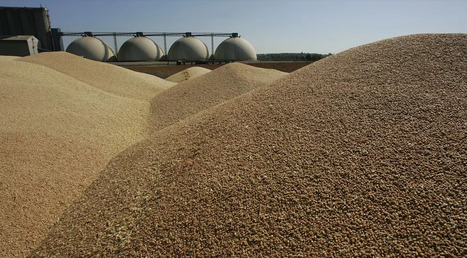 Agroalimentaire : la France exporte toujours plus, mais d&eacute;croche face &agrave; ses concurrents | Revue de presse du Centre de doc | Scoop.it