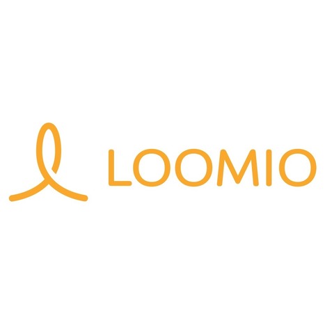 Long-term financial sustainability for Loomio | Peer2Politics | Scoop.it