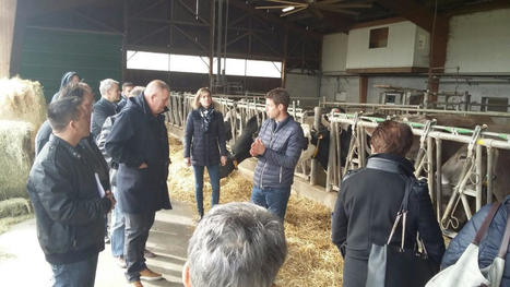 Soutenir l'agriculture locale à tout prix - Le Journal de l'Eco | Pour innover en agriculture | Scoop.it