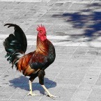 Don't Let Your Ego Hijack Your Leadership Effectiveness | Management - Leadership | Scoop.it