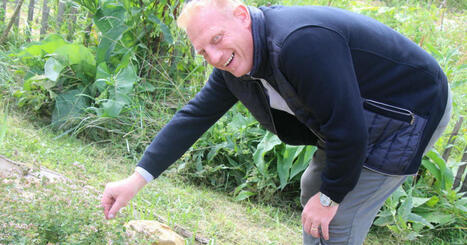 Nancy. Le jardin nourricier du plateau de Haye a pris toute son ampleur | veille territoriale | Scoop.it