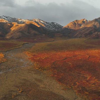 LE GRAND NORD : Les terres gelées d’Alaska pourraient devenir des terres agricoles | LE GRAND NORD | Scoop.it