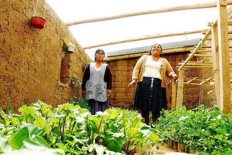 Bolivian Urban Farming Coop Empowers Migrant Women | Peer2Politics | Scoop.it