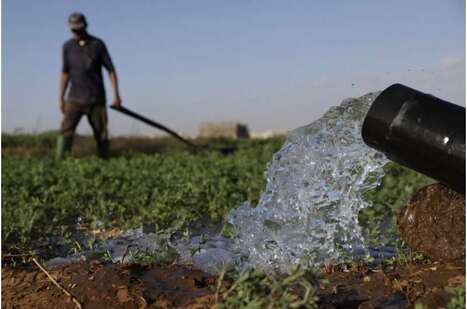 MOROCCO: Drought-hit turns to desalination to save vegetable bounty | AFRIQUES | Scoop.it