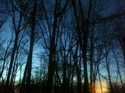Dawn in your eyes&nbsp;#poetry | Art and culture | Scoop.it