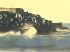 Dane Zaun in LA - South Bay local Dane Zaun punts around his home break | Surfing Magazine | Scoop.it