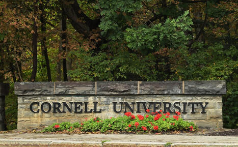 'Cornell 7' investigation could be doomed as New York targets legal loophole - Newsweek | Operation Oya | Scoop.it