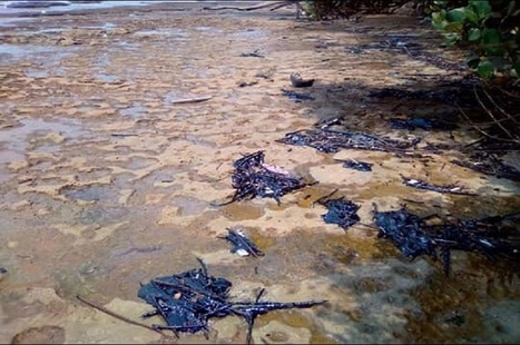 Pollution : Les c&ocirc;tes gabonaises menac&eacute;es par une mar&eacute;e noire / le 17.02.2019 | Pollution accidentelle des eaux (+ d&eacute;chets plastiques) | Scoop.it