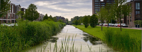 Gestion des eaux de pluie : l'infiltration, la solution de demain ? | HORTICULTURE | Scoop.it