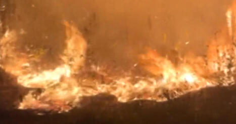 Florida and Georgia wildfires scorch acres - CBS News | Operation Deimos | Scoop.it