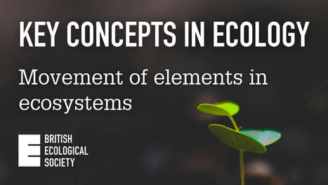 Key Concepts in Ecology: Movement of elements in ecosystems | Biodiversité | Scoop.it