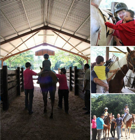 Realize Belize Horseback Riding Day | Cayo Scoop!  The Ecology of Cayo Culture | Scoop.it