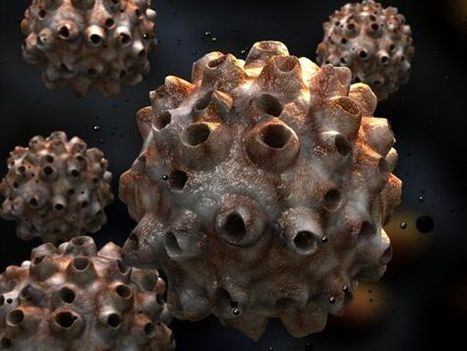 Le papillomavirus humain associé à une maladie auto-immune | CNRS | actualités VIH, hépatites, IST, santé sexuelle | Scoop.it