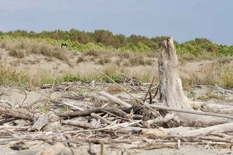 Cambio clim&aacute;tico acelerar&aacute; la pobreza | MOVUS | Scoop.it