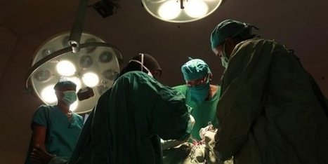 R&eacute;g&eacute;n&eacute;rer les organes ! | Chair et M&eacute;tal - L'Humanit&eacute; augment&eacute;e | Scoop.it