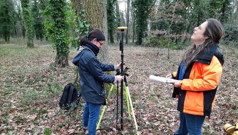 Un programme scientifique au chevet des forêts du Loiret - France Inter | Pour innover en agriculture | Scoop.it