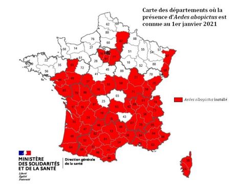 Carte de présence du moustique tigre (Aedes albopictus) en France métropolitaine | Biodiversité | Scoop.it