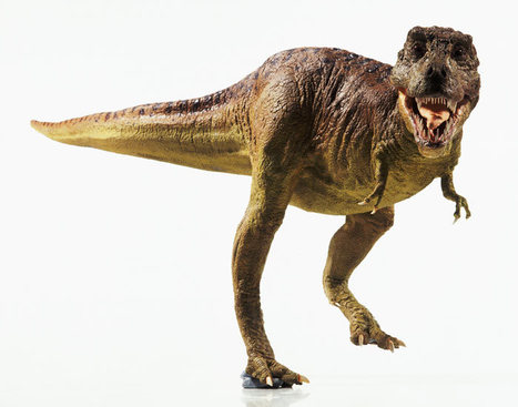 Could 'advanced' dinosaurs rule other planets? | Science News | Scoop.it