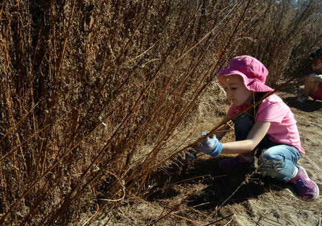 Why environmentalists are at odds over the restoration of LA’s largest remaining wetlands | Coastal Restoration | Scoop.it