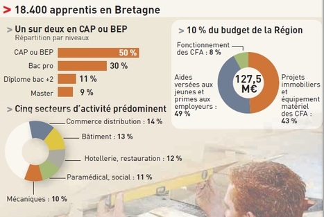 Apprentissage. Le pataquès gouvernemental | L'INDUSTRIE EN BRETAGNE | Scoop.it